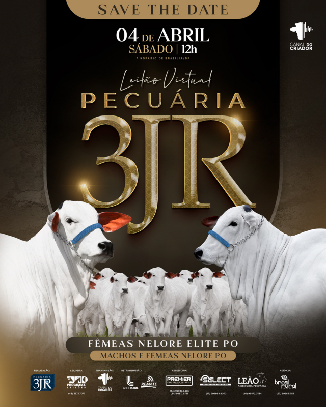 Leilão Virtual Pecuária 3JR - Nelore PO