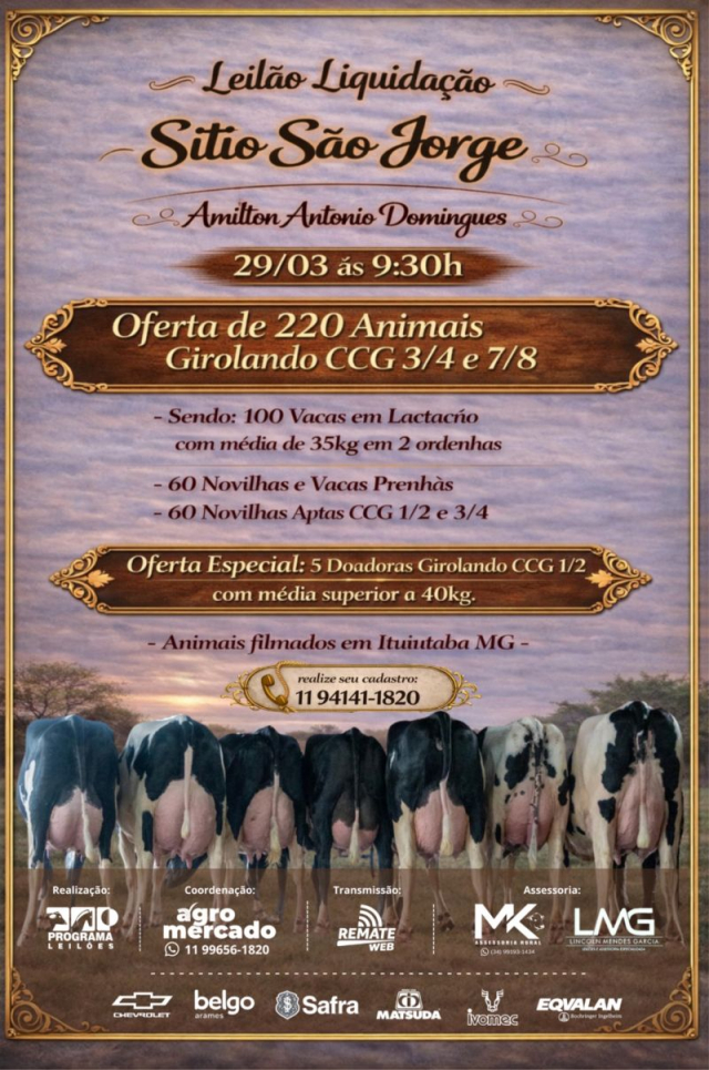 Leilão Virtual Liquidação Sítio São Jorge