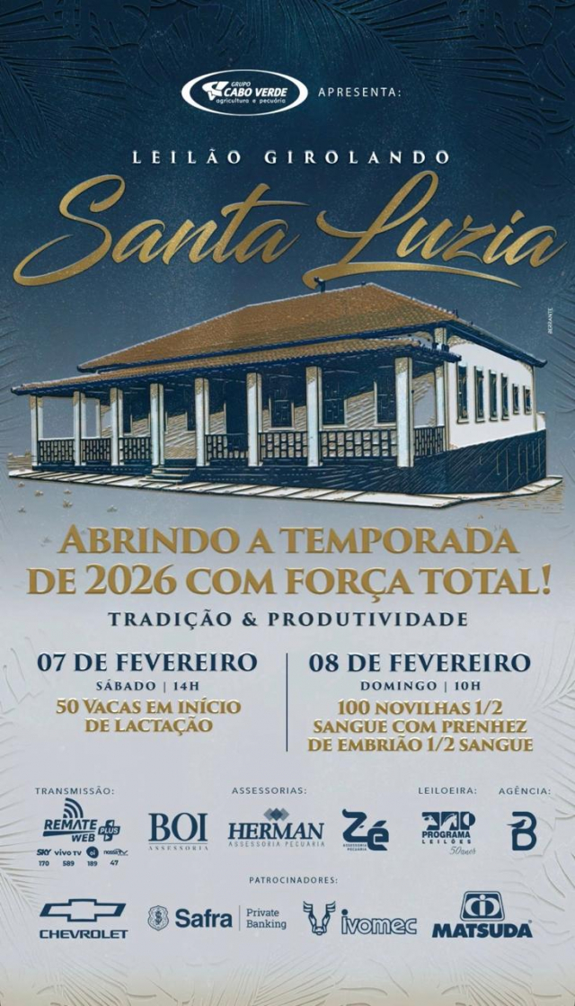 Leilão Virtual Girolando Santa Luzia - Vacas em Início de Lactação