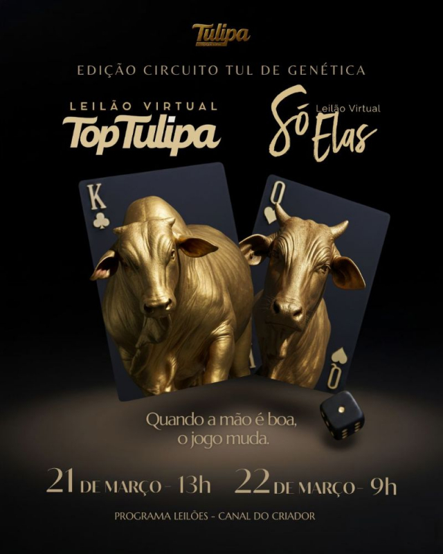 Leilão Virtual Só Elas
