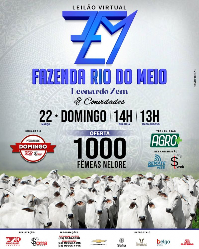 Leilão Virtual Fazenda Rio do Meio - 146º Programa de Domingo