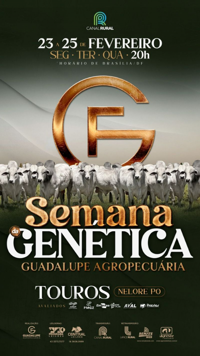 Leilão Virtual Semana da Genética Guadalupe Agropecuária - Touros.