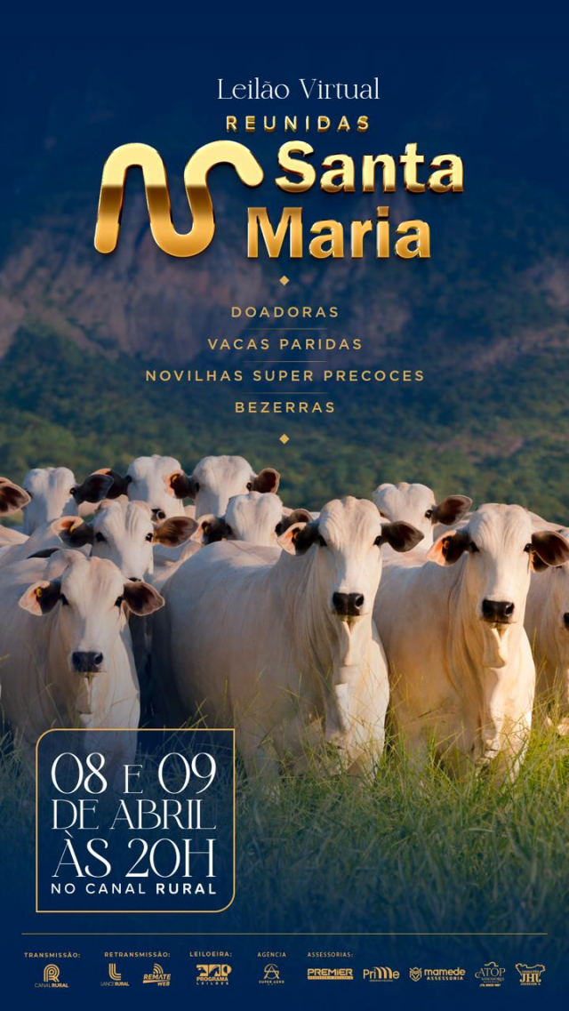 Leilão Virtual Reunidas Santa Maria - 1ª etapa