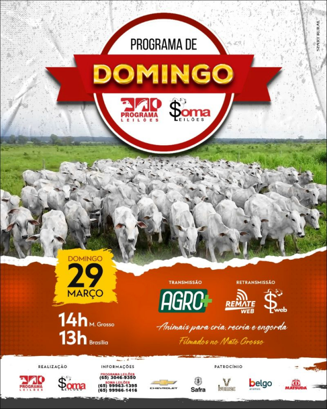 146° Programa de Domingo - Programa e Soma Leilões