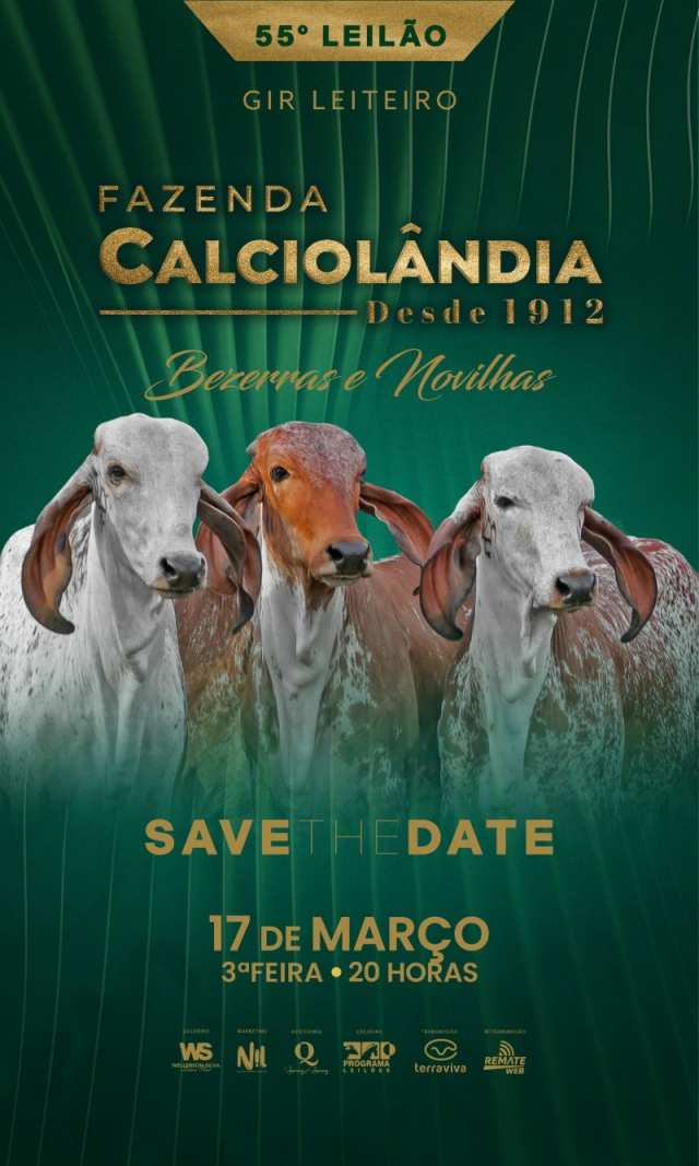 55º Leilão Virtual Gir Leiteiro Fazenda Calciolândia