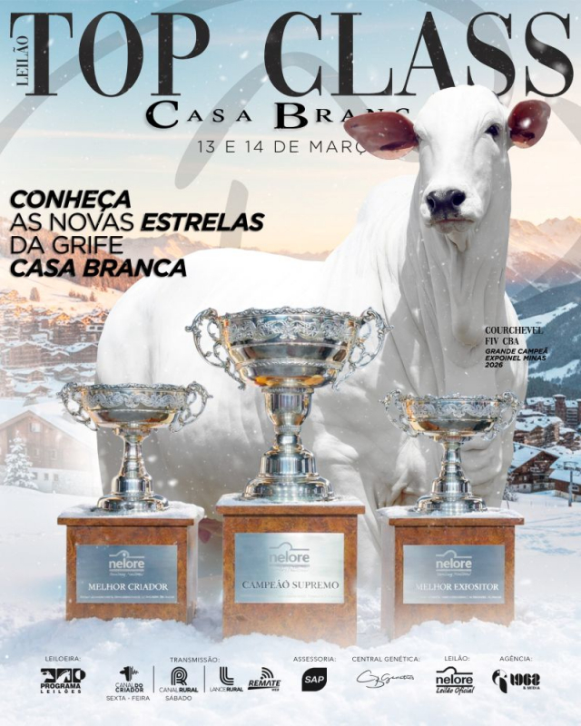 Leilão Virtual  Top Class Casa Branca
