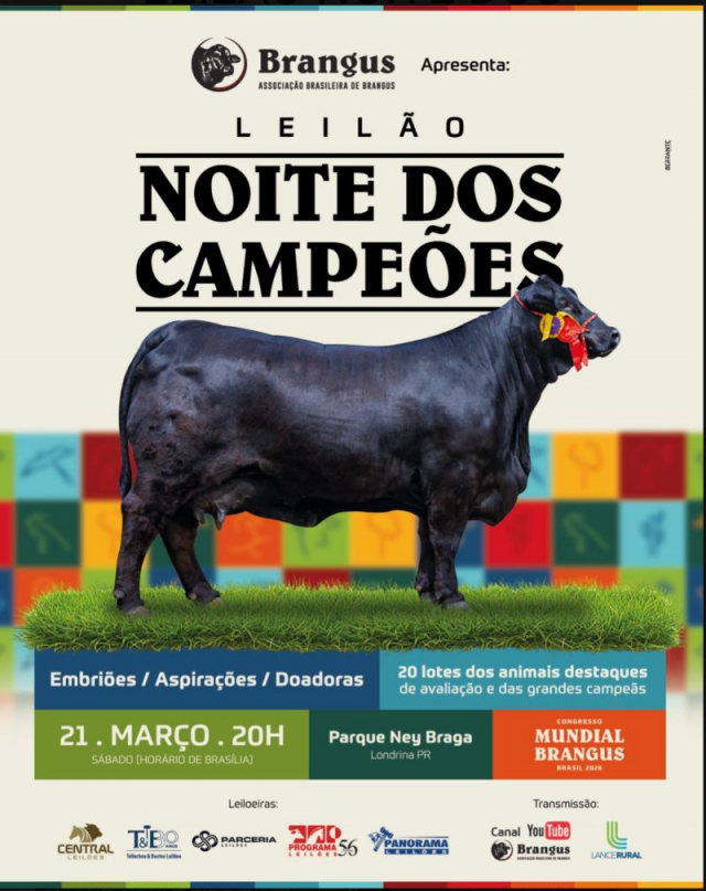 Leilão Noite dos Campeões - Brangus