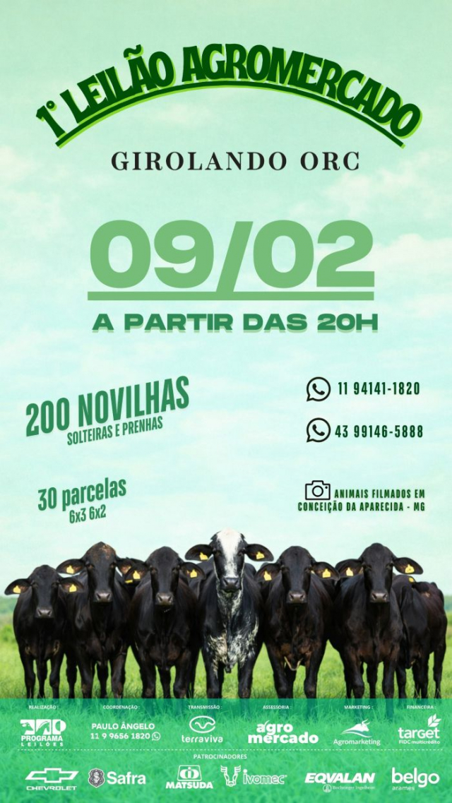 1° Leilão Virtual Agromercado - Girolando ORC