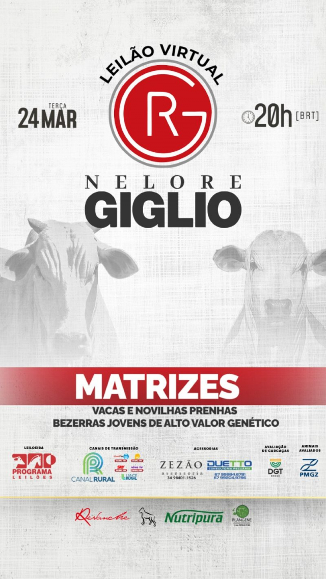 Leilão Virtual Nelore Giglio