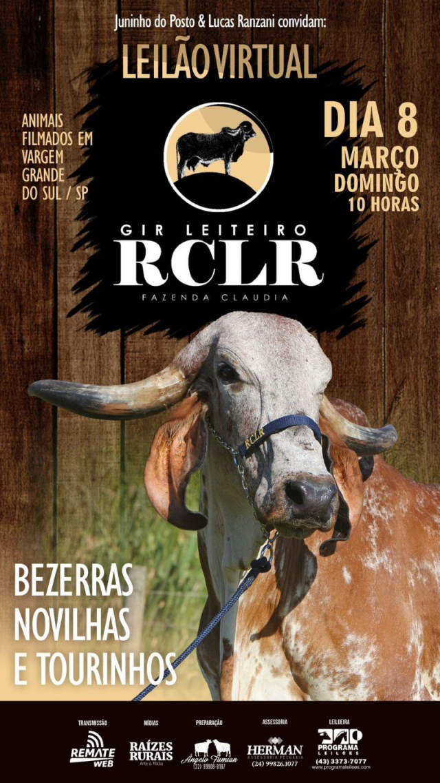Leilão Virtual Gir Leiteiro RCLR Fazenda Claudia