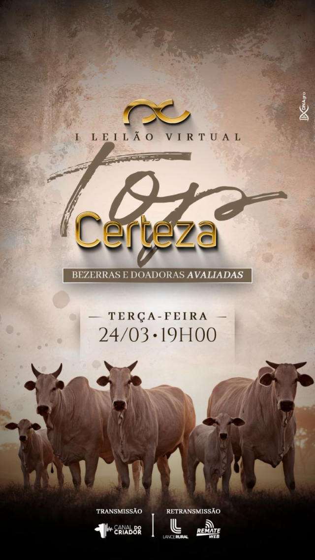 Leilão Virtual Top Certeza - Bezerras e Doadoras