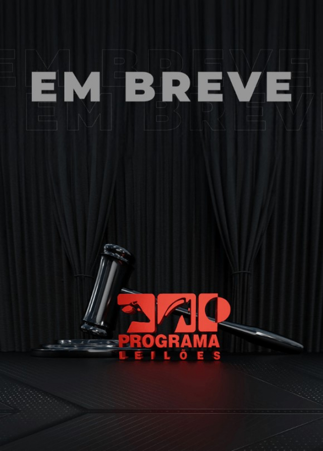 Virtual Ambar Amaral - Matrizes e Novilhas