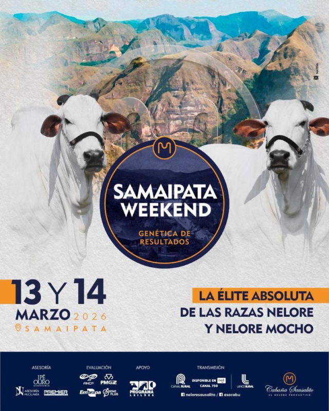 Leilão Samaipata Weekend