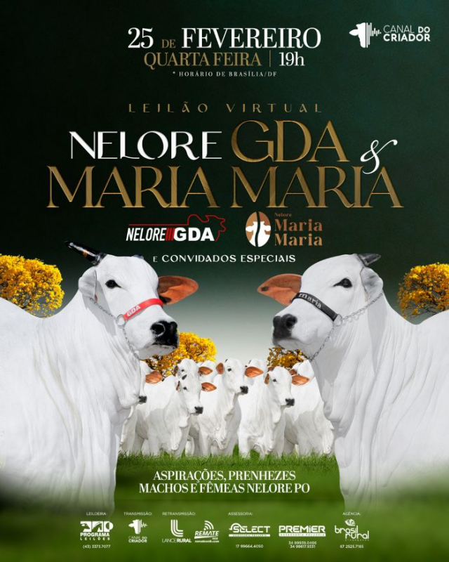 Leilão Virtual Nelore GDA, Maria Maria e Convidados Especiais
