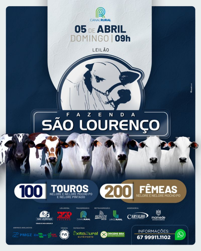 Leilão Virtual Fazenda São Lourenço